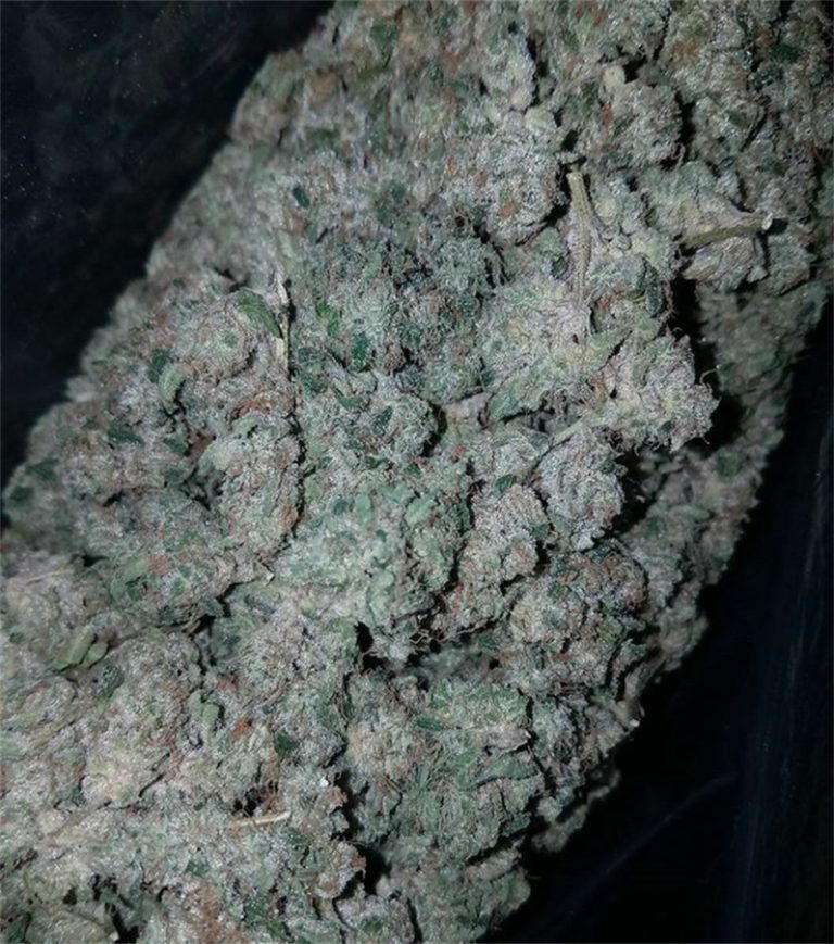 Banana OG Marijuana Strain | buy marijuana online | buy weed online