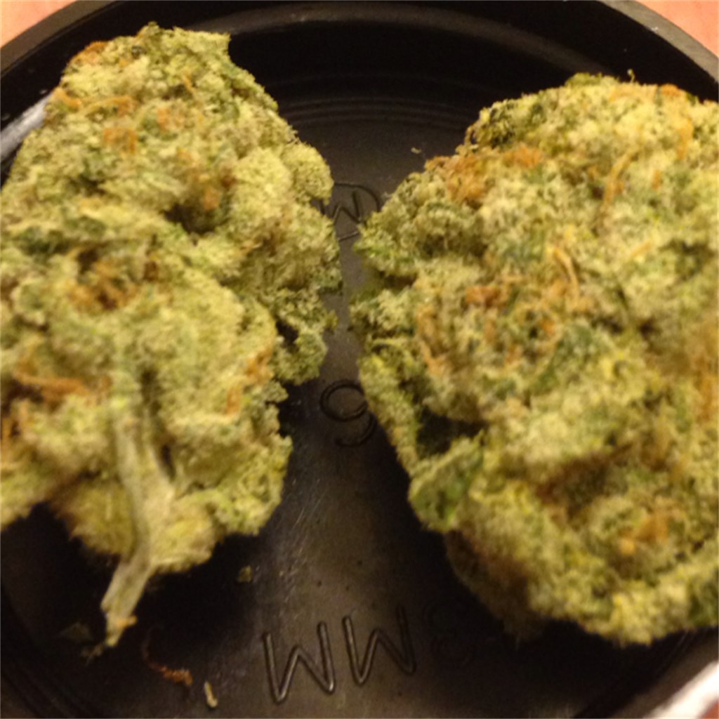 Cinex Marijuana Strain | buy marijuana online | strains | buy weed online