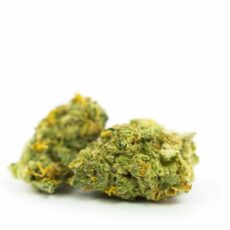 Lemon Head Marijuana Strain