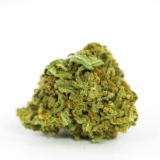 NYC Diesel marijuana strain, Strongest strains