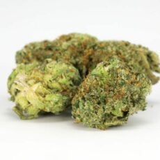 Nova OG Marijuana Strain