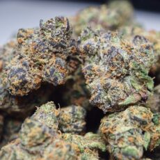 apple fritter marijuana strain