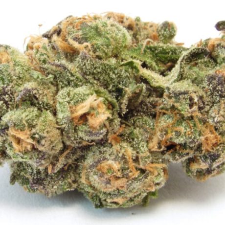 marijuana strains types | sativa, indica, hybrid | buy weed online