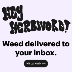 buy weed online